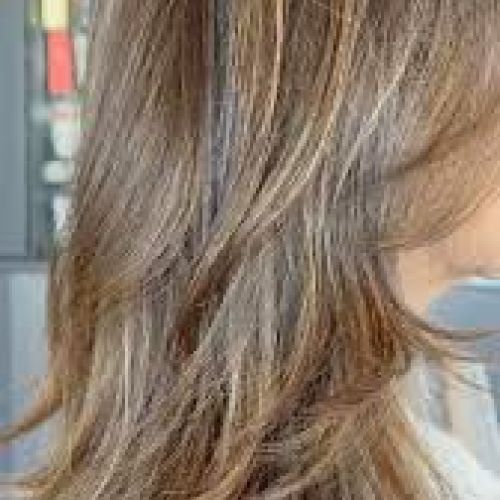 img 20251211 wa0040